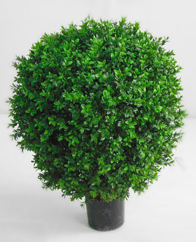 10-035 Boxwood Ball  35cm, 10-050 Boxwood Ball 50cm